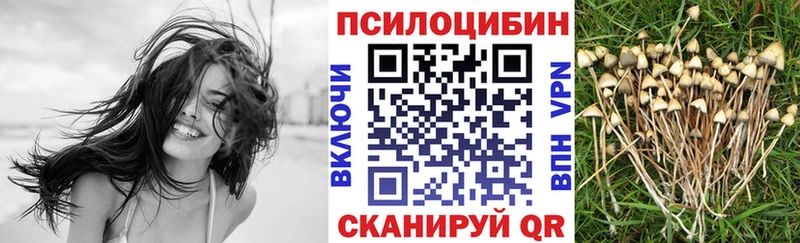 Купить Бологое Галлюциногенные грибы MAGIC MUSHROOMS