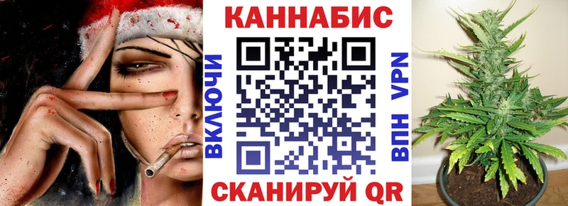 Купить где  Бологое  Бошки марихуана сатива 